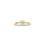 Classic Zirkonia Ring 5mm