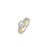 Double Band Zirkonia Ring Goudkleurig
