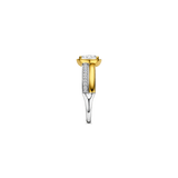 Double Band Zirkonia Ring Goudkleurig