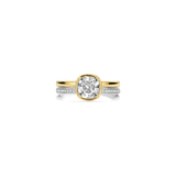 Double Band Zirkonia Ring Goudkleurig