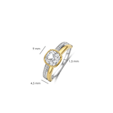 Double Band Zirkonia Ring Goudkleurig