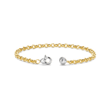 Fijne Schakel Armband