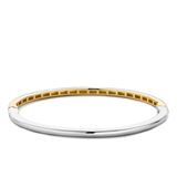 Classic Goudkleurige Bangle
