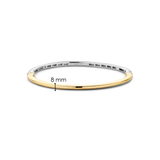 Classic Goudkleurige Bangle