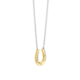 Hoefijzer Ketting