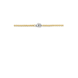 Basis Box Chain Ketting