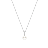 Icon Parel Ketting Zilver