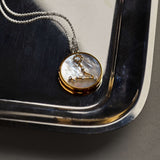 Sterrenbeeld Ketting met hanger - Vissen