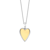 Hartjes Ketting met hanger