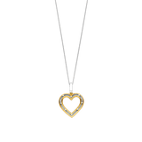 Hartjes Ketting met hanger