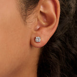Classic Zirkonia Oorbellen 6mm