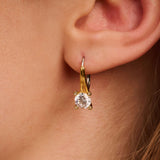 Classic Zirkonia Hoops