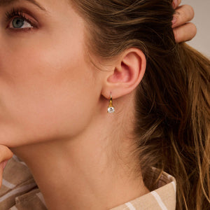 Classic Zirkonia Hoops – TI SENTO