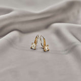 Classic Zirkonia Hoops
