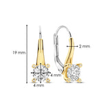 Classic Zirkonia Hoops