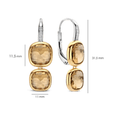 Double Cushion Oorbellen Geel