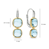 Double Cushion Oorbellen