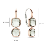 Double Cushion Oorbellen