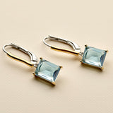 Rectangular Zirkonia Hoops