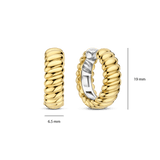 Vintage Geribbelde Hoops