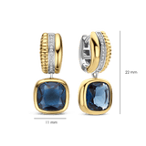Blauwe Cushion Structure Hoops