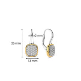 Zirkonia Cushion Hoops