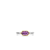 Paarse Gem Ring