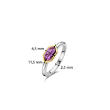 Paarse Gem Ring