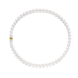 TI SENTO Ketting 34016YP