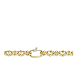 Signature Statement Schakel Ketting