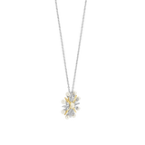 Star Parel Ketting