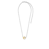 Forever Connected Bicolor Ketting
