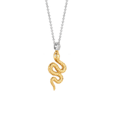 Snake Ketting