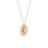 Radiant Sun Ketting