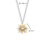 Radiant Sun Ketting
