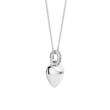Hartjes Ketting met hanger