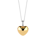 Hartjes Ketting met hanger