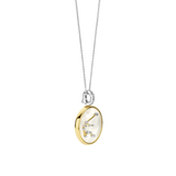 Sterrenbeeld Ketting met hanger - Waterman