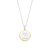 Sterrenbeeld Ketting met hanger - Ram