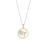 Sterrenbeeld Ketting met hanger - Tweelingen