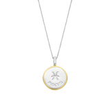 Sterrenbeeld Ketting met hanger - Vissen