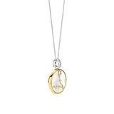 Sterrenbeeld Ketting met hanger - Vissen
