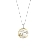 Sterrenbeeld Ketting met hanger - Schorpioen