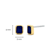TI SENTO Oorbellen 7893BY