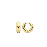 TI SENTO Oorbellen 7909SY