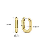 TI SENTO Oorbellen 7929SY