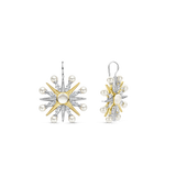 Star Parel Hoops