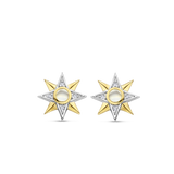 Star Parel Oorbellen
