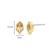 Champagne Gem Oorbellen