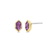 Paarse Gem Oorbellen